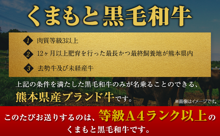 くまもと黒毛和牛 サーロインステーキ 250g 牛肉 冷凍 《30日以内に出荷予定(土日祝除く)》 くまもと黒毛和牛 黒毛和牛 冷凍庫 個別 取分け 小分け 個包装 ステーキ肉 にも サーロインステーキ---ubuyama_lcl_807_250g---