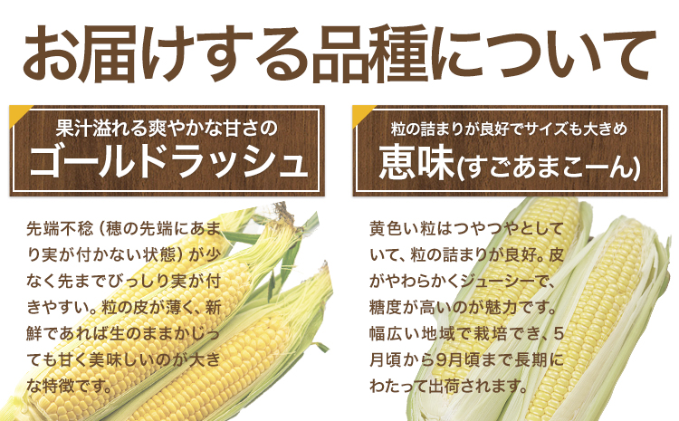 とうもろこし 極甘 スイートコーン ゴールドラッシュ 恵味 10本《7月中旬-8月上旬頃出荷予定》熊本県 産山村 野菜 夏野菜 コーン トウモロコシ 一番果 冷蔵 先行予約---ubuyama_lcl_125_10p--