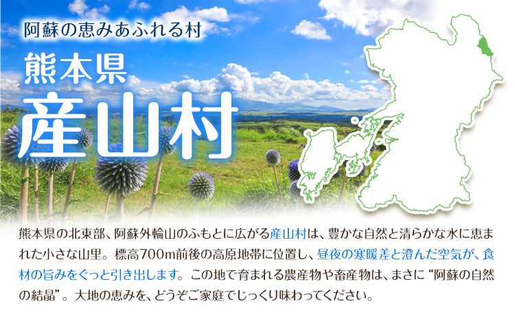 大容量 鶏肉  鶏もも 鶏もも肉 熊本県産 若鶏もも肉 4kg 《1月中旬-2月末頃出荷》 肉 鶏肉 若鶏 国産 真空 冷凍 冷凍庫 鳥 鳥肉 鳥もも 鳥もも肉 モモ モモ肉 鶏モモ肉 若鶏モモ---ubuyama_lcl_592_4kg---