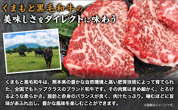 牛肉 くまもと黒毛和牛 しゃぶしゃぶ セット 300g 150g × 2《30日以内に出荷予定（土日祝除く）》 熊本県 阿蘇郡 産山村くまもと黒毛和牛 黒毛和牛 冷凍 しゃぶしゃぶ すき焼き 肩ロース ロース ぽん酢 送料無料 富士商株式会社---ubuyama_fjs_8_300g---