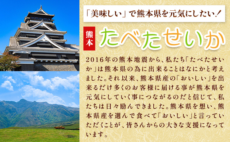 熊本あか牛 肩ロース 約500g 合同会社たべたせいか《30日以内に出荷予定(土日祝除く)》熊本県 産山村 肉 牛肉 お肉 和牛 あか牛 ロース スライス すき焼き しゃぶしゃぶ 熊本県産 冷凍 送料無料---ubuyama_tbt_2_500g---