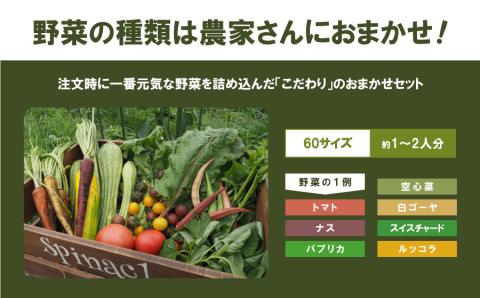 先行受付！7月中旬より順次発送》大地と共に生きよう おまかせ野菜セット【1人～2人用】: 産山村ANAのふるさと納税