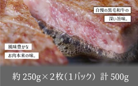 黒毛和牛・サーロイン500g【熊本県畜産農業協同組合】《60日以内に出荷予定(土日祝除く)》---ubuyama_ktn_10_500g---