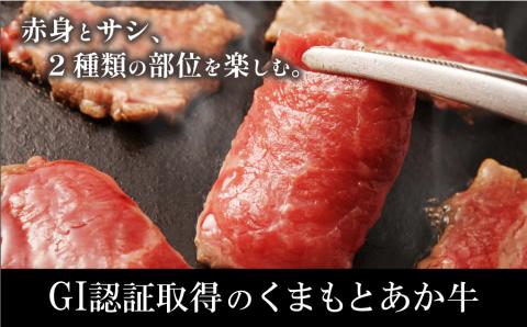 【NHKあさイチで紹介されました！】生産者直送！GI認証　くまもとあか牛すき焼き用(500g)・焼き肉用(500g)食べ比べセット 山の里《60日以内に出荷予定（土日祝除く）》---ubuyama_yms_24_1kg---