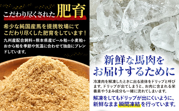 馬刺し 純国産 ウマウマ アラカルト Bセット（たてがみ） 専用醤油付き 50g ×5種 計250g 有限会社九州食肉産業《90日以内に出荷予定(土日祝除く)》熊本県 産山村 純国産 馬刺し 国産 熊本肥育 馬刺 馬肉 詰め合わせ 贈答用 ギフト お中元 お歳暮---ubuyama_kss_18_250g---