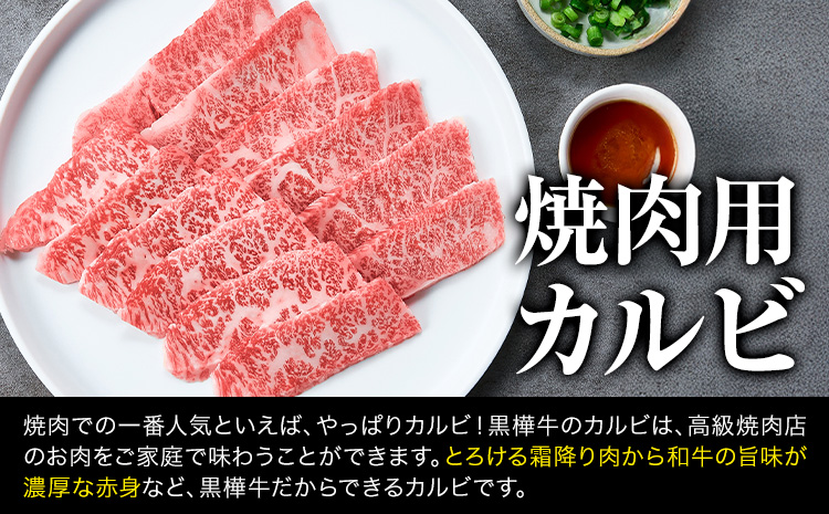 熊本県産黒毛和牛　黒樺牛焼肉用カルビ・モモ・切り落としセット　しょうゆタレ付 肉好き必見 黒毛和牛 黒樺牛 肉 牛肉 焼肉 カルビ モモ 切り落とし 国産 専門店 熊本県 贈答 ギフト お中元 お歳暮 熊本 阿蘇 産山村 杉本本店《60日以内に出荷(土日祝除く)》---ubuyama_sgm_17_set---