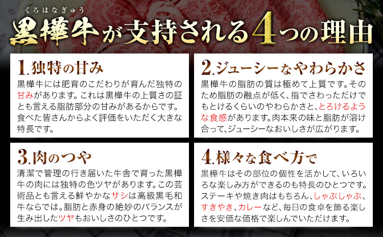 熊本県産黒毛和牛　黒樺牛切り落とし　600g 肉好き必見 黒毛和牛 黒樺牛 肉 牛肉 切り落とし 国産 専門店 熊本県 取り寄せ 贈答 ギフト お中元 お歳暮 熊本 阿蘇 産山村 送料無料 杉本本店《60日以内に出荷(土日祝除く)》---ubuyama_sgm_18_600g---