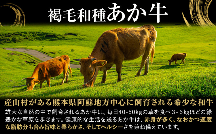 熊本県産 あか牛 切落し 1kg(250g×4パック) UBUYAMAPLACE《30日以内に出荷予定(土日祝除く)》あか牛 ユッケ 肉 小分け 牛肉 和牛---ubuyama_ubp_14_1kg---