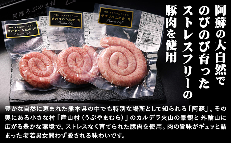 阿蘇 大自然のおくりもの ぐるぐるウインナー 焼肉正 ウインナー ソーセージ 人気 ギフト 詰め合わせ 贈り物 お中元 お歳暮 贈答 熊本 阿蘇 産山村 送料無料《60日以内に出荷(土日祝除く)》【配送不可地域あり】---ubuyama_yns_13_3p---