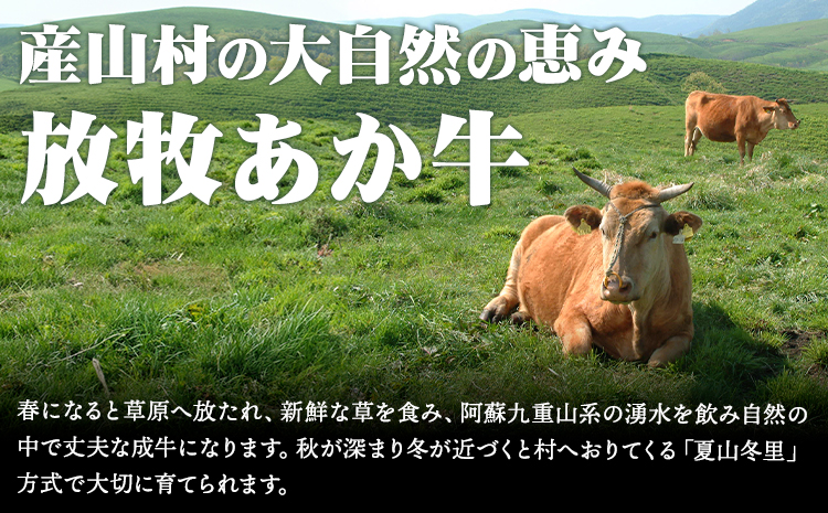 阿蘇うぶやま村の放牧あか牛極上焼肉セット1kg リブロース てんまる たっぷり BBQ 焼き肉 赤身 和牛 牛肉 牛 国産 あか牛 焼肉正 人気 ギフト 詰め合わせ 贈り物 お中元 お歳暮 贈答 熊本 阿蘇 産山村 送料無料《60日以内に出荷(土日祝除く)》【配送不可地域あり】---ubuyama_yns_21_1kg---