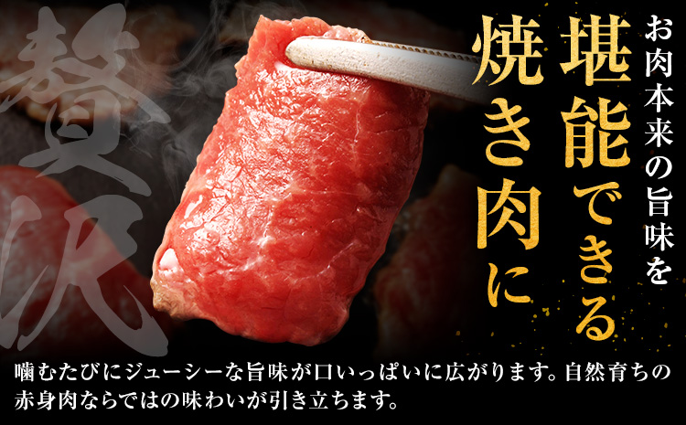 生産者直送！GI認証 くまもとあか牛 すき焼き用 500g ・ 焼き肉用 500g 食べ比べセット山の里《60日以内に出荷予定(土日祝除く)》熊本県 産山村 BBQ 焼き肉 焼肉 すき焼き くまもとあか牛 赤身 和牛 牛肉 牛 国産 あか牛 贈り物【配送不可地域あり】---ubuyama_yms_24_1kg---
