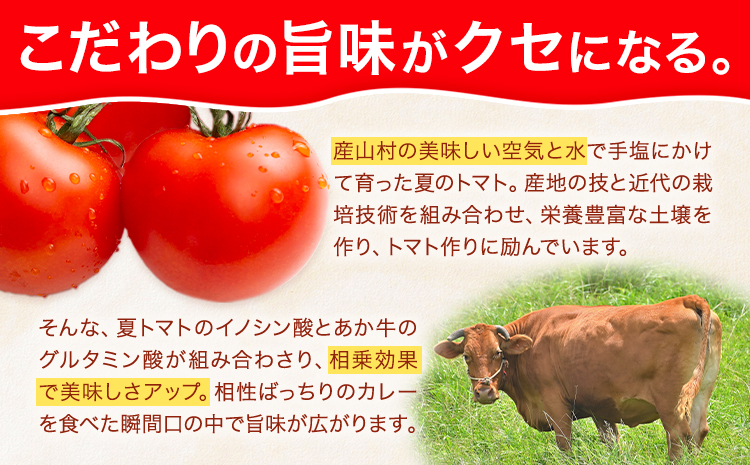 産山村・トマト・あか牛 野焼きでトマトカレー レトルトパック 4箱 各180ml 熊貴農園《30日以内に出荷予定(土日祝除く)》熊本県 阿蘇郡 産山村 カレー トマトカレー トマト あか牛 レトルト---ubuyama_yun_2_4p---