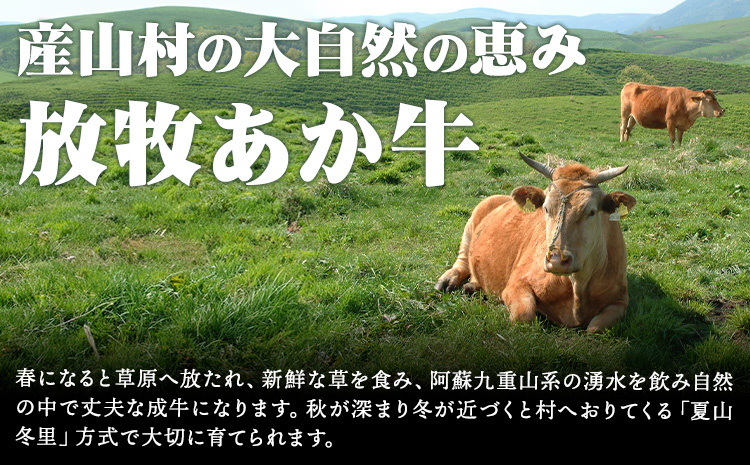 放牧 あか牛 の ミニ ローストビーフ 300g 焼肉正 もも肉 ブロック ギフト 贈り物 お歳暮 贈答 熊本 阿蘇 産山村 《60日以内に出荷(土日祝除く)》ブロック肉 モモ ローストビーフ【配送不可地域あり】---ubuyama_yns_24_300g---
