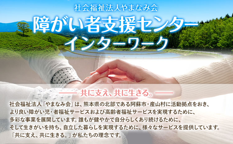 ドリップ珈琲セット 4種 40パック 社会福祉法人やまなみ会インターワーク《30日以内に出荷予定(土日祝除く)》熊本県 産山村 自家焙煎 飲み物 コーヒー 珈琲 ドリップ ドリップバッグ---ubuyama_ymi_14_set---