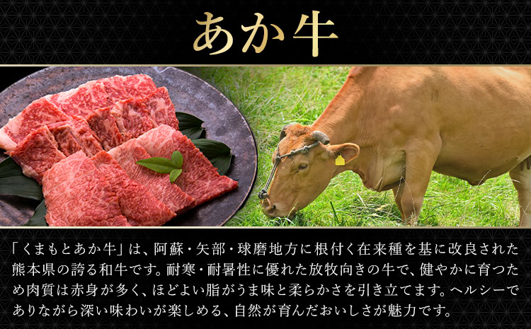 あか牛＆黒毛和牛ミックス牛肉切り落とし 1kg 熊本県畜産農業協同組合《60日以内に出荷予定(土日祝除く)》熊本県 産山村 くまもとあか牛 くまもと黒毛和牛 切り落とし 牛肉 肉 熊本県産 和牛 あか牛 黒毛和牛【配送不可地域あり】（離島）---ubuyama_ktn_16_1000g---