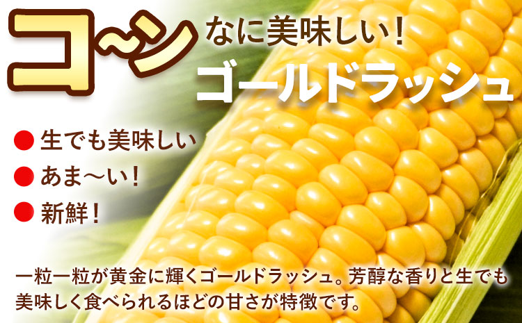 《先行受付開始》産地直送 朝採れスイートコーン ゴールドラッシュ 15本セット とうもろこし 特大 熊本 阿蘇 産山村 冷蔵 高糖度 夏野菜 トウモロコシ ギフト 今が旬 コーン 旬 お取り寄せ 人気 大人気 贈答 とうきび 送料無料《2025年7月中旬-8月中旬出荷》---ubuyama_jmn_4_15p---