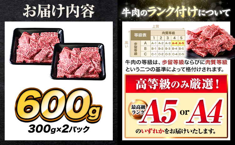 A4～A5等級 黒毛和牛 切り落とし 上 ロース 焼肉 切り落とし 600g《30日以内に出荷予定(土日祝除く)》くまもと黒毛和牛 熊本県 産山村 上ロース 焼肉用 黒毛和牛 焼肉 肉 お肉 和牛 A5 A4 300g リブロース サーロイン---ubuyama_lcl_544_600g---