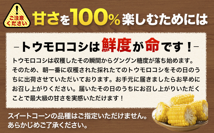 とうもろこし 極甘 スイートコーン ゴールドラッシュ 恵味 15本《7月中旬-8月上旬頃出荷予定》熊本県 産山村 野菜 夏野菜 コーン トウモロコシ 一番果 冷蔵 先行予約---ubuyama_lcl_126_15p---