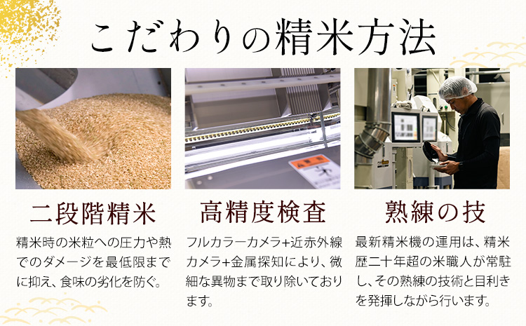 【隔月3回定期便】 白米 ひのくに米 5kg 《申込月の翌月から出荷開始》 食品 米 こめ コメ 熊本県産 ふるさと納税 お米 おこめ 熊本---ubuyama_lcl_768_ev2mo3---