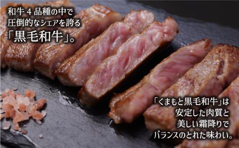 黒毛和牛・サーロイン500g【熊本県畜産農業協同組合】《60日以内に出荷予定(土日祝除く)》---ubuyama_ktn_10_500g---