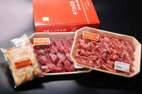 阿蘇うぶやま村の放牧あか牛焼肉堪能セット《60日以内に出荷予定(土日祝除く)》---ubuyama_yns_19_1100g---