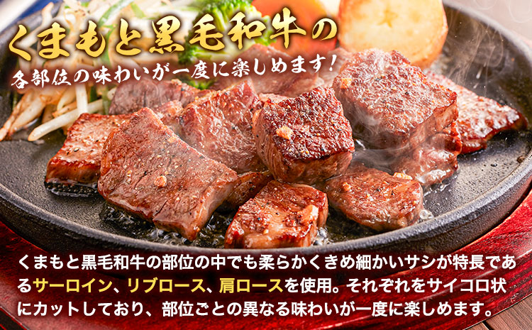 くまもと黒毛和牛のサイコロステーキ 200g×2 牛肉 冷凍 《30日以内に出荷予定（土日祝除く）》 熊本県 産山村 くまもと黒毛和牛 黒毛和牛 冷凍 ステーキ サイコロステーキ スパイス にんにく塩 送料無料 富士商株式会社【配送不可地域：離島】---ubuyama_fjs_6_400g---