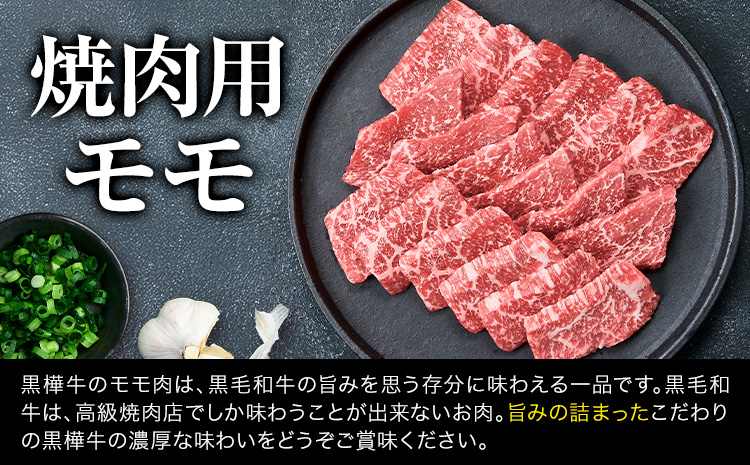 熊本県産黒毛和牛　黒樺牛焼肉用カルビ・モモ・切り落としセット　しょうゆタレ付 肉好き必見 黒毛和牛 黒樺牛 肉 牛肉 焼肉 カルビ モモ 切り落とし 国産 専門店 熊本県 贈答 ギフト お中元 お歳暮 熊本 阿蘇 産山村 杉本本店《60日以内に出荷(土日祝除く)》---ubuyama_sgm_17_set---