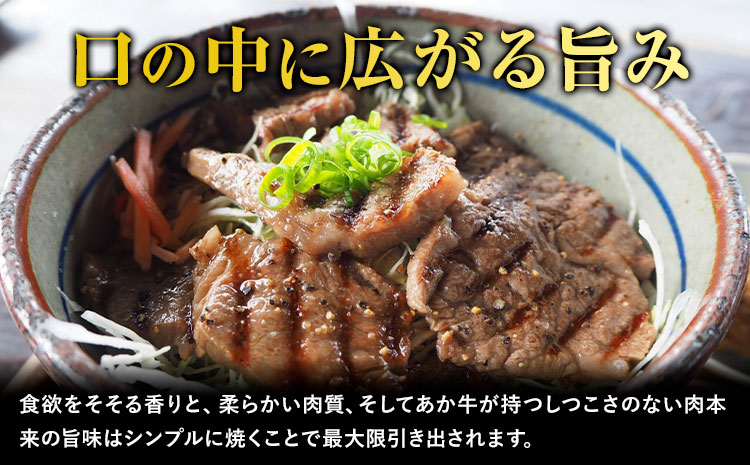 熊本県産 あか牛 焼肉 600g UBUYAMAPLACE《30日以内に出荷予定(土日祝除く)》あか牛 肉 牛肉 国産牛 ブランド牛 焼肉 小分け---ubuyama_ubp_18_600g---