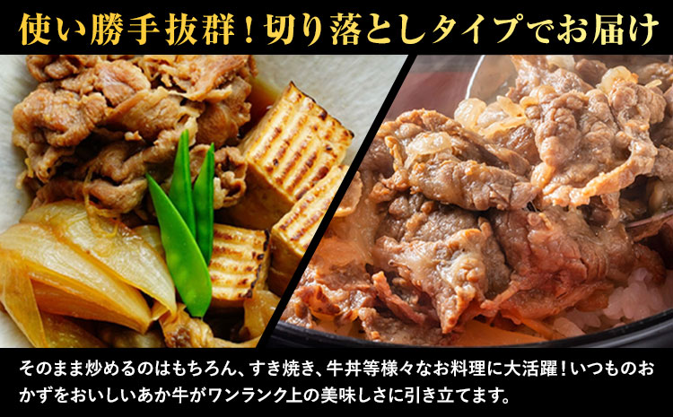 熊本県産 あか牛 切落し 1kg(250g×4パック) UBUYAMAPLACE《30日以内に出荷予定(土日祝除く)》あか牛 ユッケ 肉 小分け 牛肉 和牛---ubuyama_ubp_14_1kg---