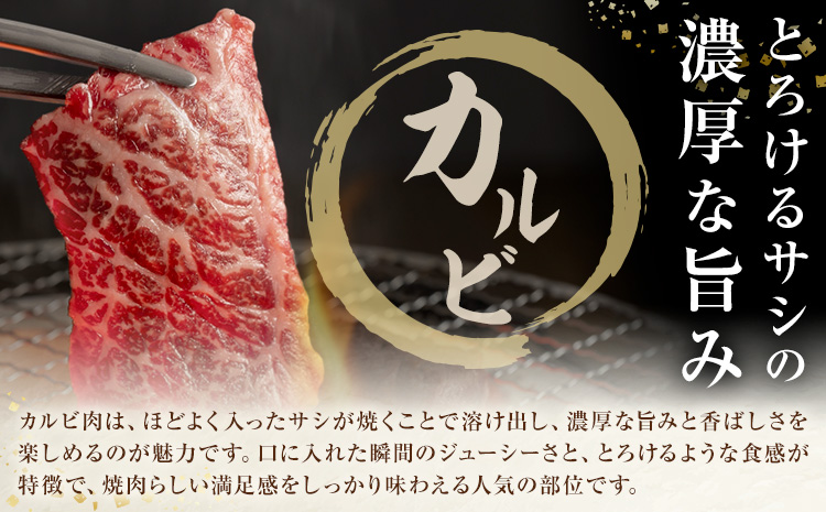 生産者直送！GI認証　くまもとあか牛焼き肉用 1kg 500g × 2パック 山の里《60日以内に出荷予定(土日祝除く)》熊本県 産山村 焼き肉 焼肉 BBQ GI認証 くまもとあか牛 赤身 和牛 牛肉 牛 国産 あか牛 ギフト 詰め合わせ 贈り物 お中元 お歳暮 【配送不可地域あり】---ubuyama_yms_25_1kg---