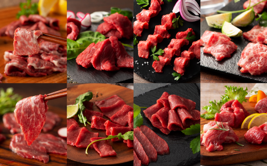 フジチクオリジナル 希少部位と贅沢なふじ馬刺し厳選セット《30日以内に出荷予定（土日祝除く）》---ubuyama_fjt_44_1160g---