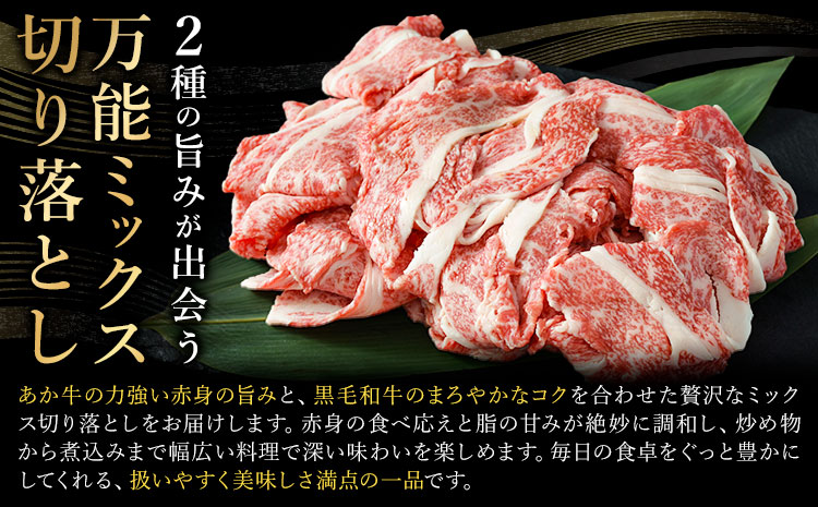 あか牛＆黒毛和牛ミックス牛肉切り落とし 1kg 熊本県畜産農業協同組合《60日以内に出荷予定(土日祝除く)》熊本県 産山村 くまもとあか牛 くまもと黒毛和牛 切り落とし 牛肉 肉 熊本県産 和牛 あか牛 黒毛和牛【配送不可地域あり】（離島）---ubuyama_ktn_16_1000g---