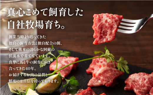 フジチクふじ馬刺し上赤身4個セット 合計約320g《30日以内に出荷予定(土日祝除く)》---ubuyama_fjt_34_320g---