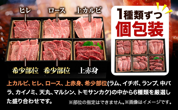 牛肉 焼肉 焼き肉 食べ比べ 小分け A4 A5 くまもと黒毛和牛 焼き肉セット 牛 赤身 ヒレ フィレ サーロイン リブロース 上カルビ 希少部位 500g ふるさと納税 焼き肉 牛肉 焼肉用 冷凍 黒毛和牛 牛肉 送料無料 《2026年1月中旬-3月末頃出荷》---ubuyama_lcl_806_500g---