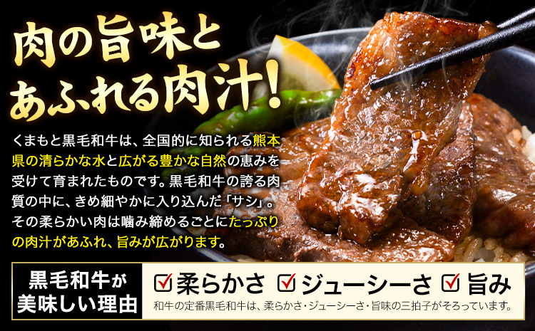 A4～A5等級 黒毛和牛 切り落とし 上 カルビ 焼肉 切り落とし 600g 《30日以内に出荷予定(土日祝除く)》くまもと黒毛和牛 熊本県 産山村 上カルビ 焼肉用 黒毛和牛 焼肉 肉 お肉 和牛 A5 A4 300g 小分け---ubuyama_lcl_541_600g---