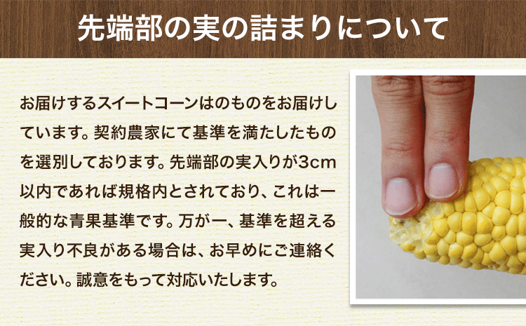 とうもろこし 極甘 スイートコーン ゴールドラッシュ 恵味 10本《7月中旬-8月上旬頃出荷予定》熊本県 産山村 野菜 夏野菜 コーン トウモロコシ 一番果 冷蔵 先行予約---ubuyama_lcl_125_10p--