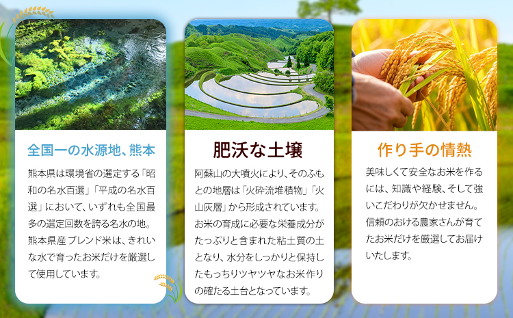 【3ヶ月定期便】 白米 ひのくに米 10kg 《お申込み翌月から出荷》 食品 米 こめ コメ 熊本県産 ふるさと納税 お米 おこめ 熊本---ubuyama_lcl_623_mo3---