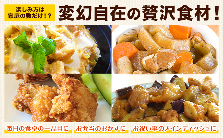 大容量 鶏肉  鶏もも 鶏もも肉 熊本県産 若鶏もも肉 4kg 《1月中旬-2月末頃出荷》 肉 鶏肉 若鶏 国産 真空 冷凍 冷凍庫 鳥 鳥肉 鳥もも 鳥もも肉 モモ モモ肉 鶏モモ肉 若鶏モモ---ubuyama_lcl_592_4kg---