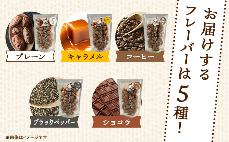産山村製造 焼きアーモンド 5点セット プレーン キャラメル コーヒー ショコラ ブラックペッパー 詰め合わせ アーモンド ギフト 贈答 贈り物 お取り寄せ スイーツ 熊本 阿蘇 産山村 送料無料 ナッツ 小分け《60日以内に出荷(土日祝除く)》---ubuyama_yad_6_5p---