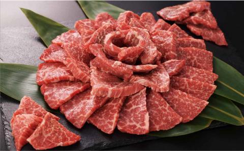 阿蘇うぶやま村の放牧あか牛極上焼肉セット《60日以内に出荷予定(土日祝除く)》---ubuyama_yns_21_1kg---