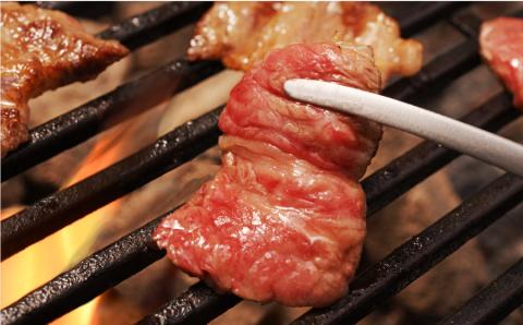 阿蘇うぶやま村の放牧あか牛焼肉堪能セット《60日以内に出荷予定(土日祝除く)》---ubuyama_yns_19_1100g---