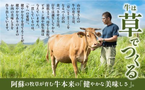 【NHKあさイチで紹介されました！】生産者直送！GI認証　くまもとあか牛すき焼き用(500g)・焼き肉用(500g)食べ比べセット 山の里《60日以内に出荷予定（土日祝除く）》---ubuyama_yms_24_1kg---