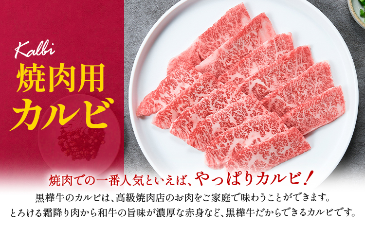 熊本県産黒毛和牛　黒樺牛焼肉用カルビ　250g 肉好き必見 黒毛和牛 黒樺牛 肉 牛肉 250g×1 焼肉 カルビ 国産 専門店 熊本県 取り寄せ 贈答 ギフト お中元 お歳暮 熊本 阿蘇 産山村 送料無料 杉本本店《60日以内に出荷予定(土日祝除く)》---ubuyama_sgm_12_250g---