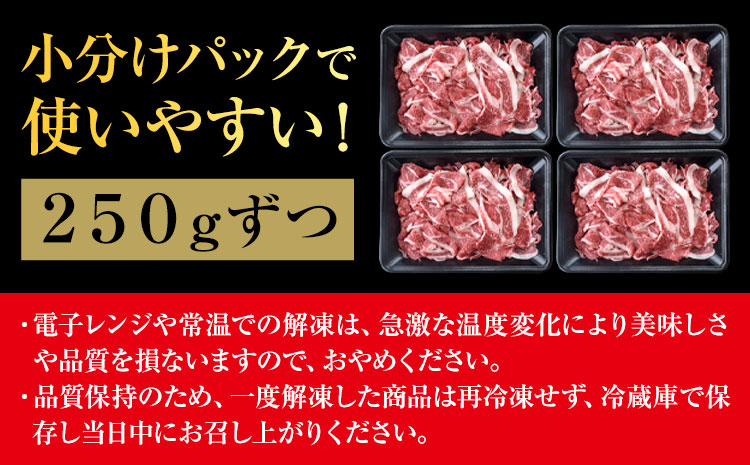 熊本県産 あか牛 切落し 1kg(250g×4パック) UBUYAMAPLACE《30日以内に出荷予定(土日祝除く)》あか牛 ユッケ 肉 小分け 牛肉 和牛---ubuyama_ubp_14_1kg---