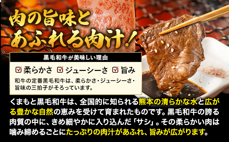牛肉 焼肉 焼き肉 食べ比べ 小分け A4 A5 くまもと黒毛和牛 焼き肉セット 牛 赤身 ヒレ フィレ サーロイン リブロース 上カルビ 希少部位 500g ふるさと納税 焼き肉 牛肉 焼肉用 冷凍 黒毛和牛 牛肉 送料無料 《2026年1月中旬-3月末頃出荷》---ubuyama_lcl_806_500g---