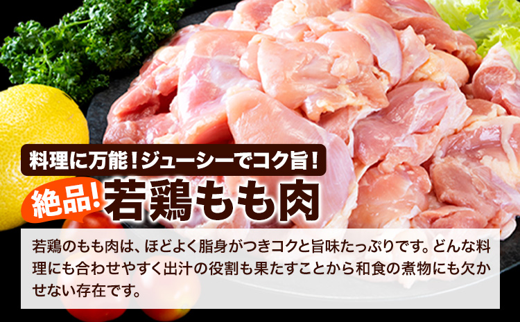【6ヶ月定期便】鶏肉 小分け 鶏肉 もも モモ カット済 若鶏3.1kg《お申込み月の翌月から出荷開始》---ubuyama_lcl_480_3100g_mo6---