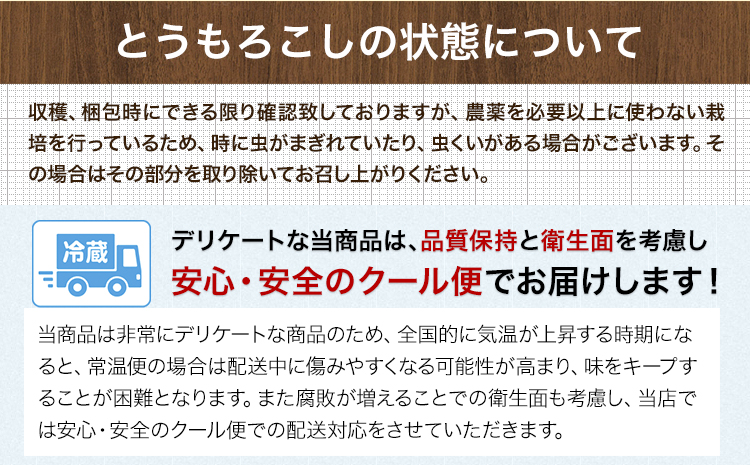 とうもろこし 極甘 スイートコーン ゴールドラッシュ 恵味 5本《7月中旬-8月上旬頃出荷予定》熊本県 産山村 野菜 夏野菜 コーン トウモロコシ 一番果 冷蔵 先行予約---ubuyama_lcl_124_5p---