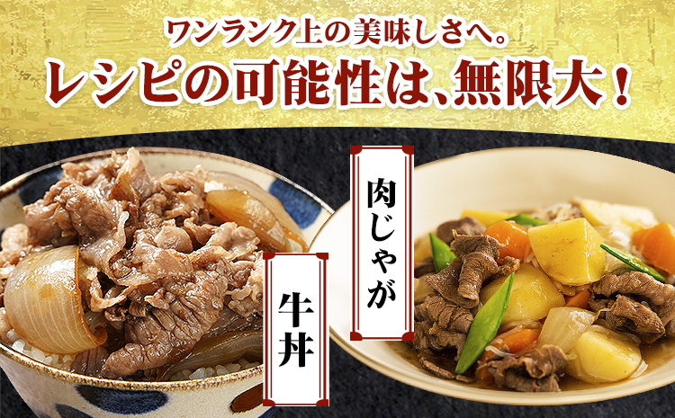 熊本 あか牛切り落とし 500g オオツカ株式会社《90日以内に出荷予定(土日祝除く)》熊本県 産山村 あか牛 牛肉 牛 切り落とし 冷凍 送料無料---ubuyama_otk_6_500g---