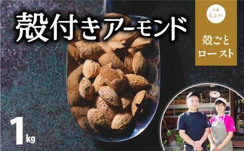 殻付きアーモンド　500g×2---ubuyama_yad_7_1kg---