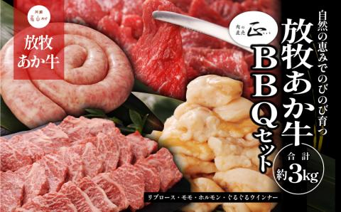阿蘇うぶやま村の放牧あか牛BBQセット《60日以内に出荷予定(土日祝除く)》---ubuyama_yns_22_set---